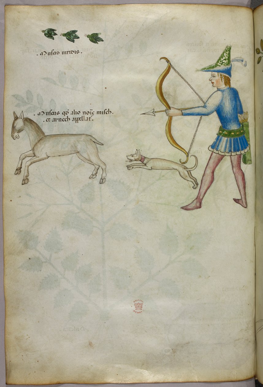 動物を射る弓を持った男と犬、その上に鳥を描いた絵（1440年頃、ベラムにインクと彩色） 作： イタリア語学校