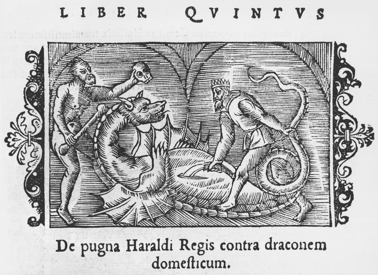 1555年にローマで出版されたオラウスマグナス（1490-1558）による北方民族の歴史からのドラゴンと戦うハラルド王 作： イタリア語学校