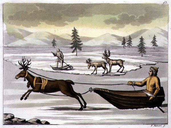 トナカイのオスとメス、トナカイに引かれたソリに乗ったラップランダー 「The History of the Nations」より43枚目（アクアチント） 作： イタリア語学校