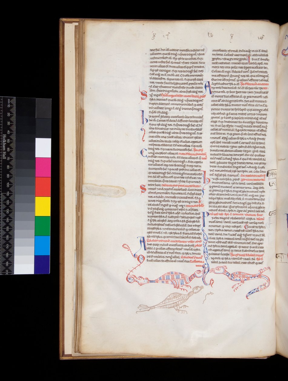 164枚目Peter Lombar, Sententiae, f.15v. ベース・デ・ページのペンワークによる装飾は、鳥と竜のハイブリッドに発展しています。 作： イタリア語学校