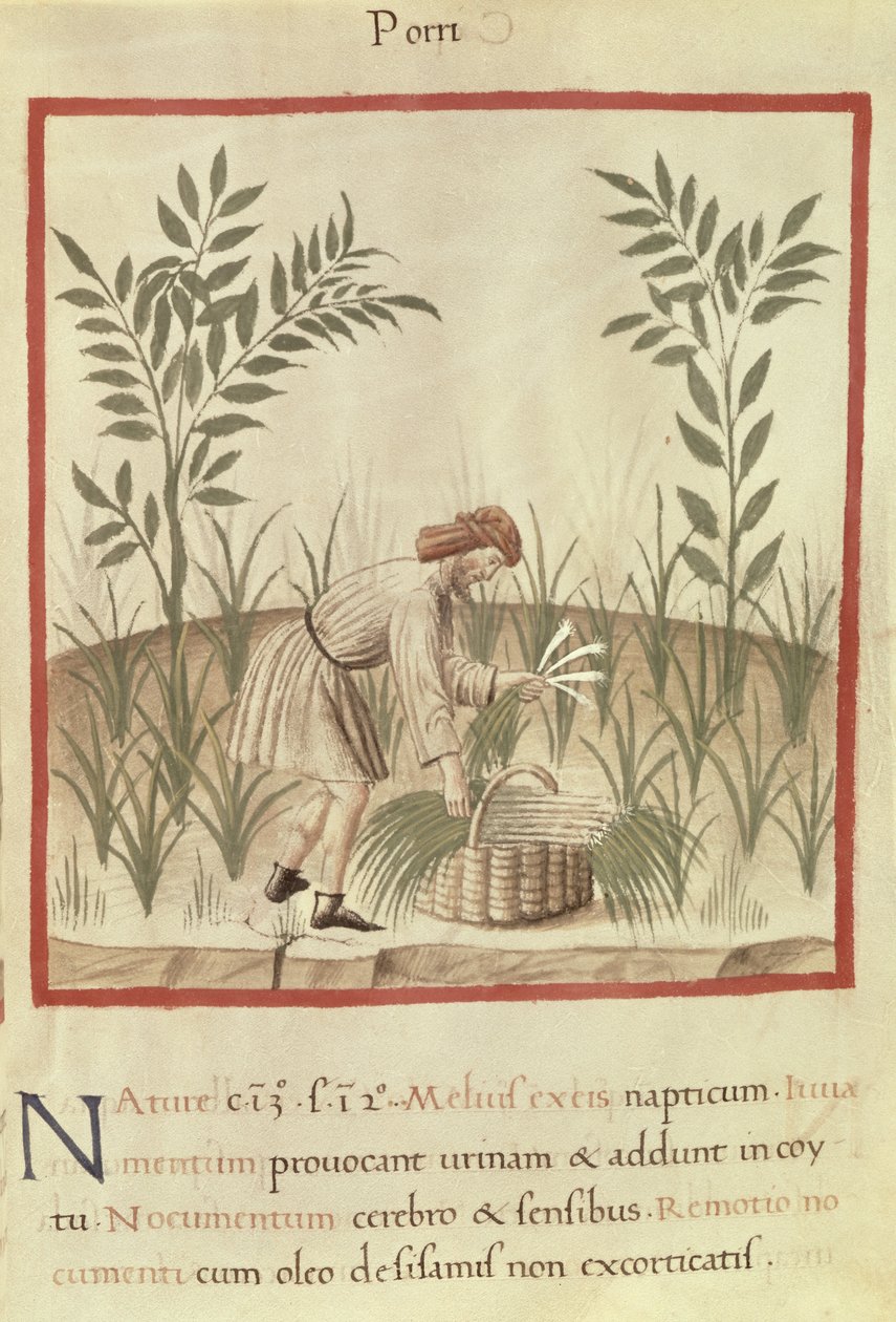 Ms 3054 f.22 