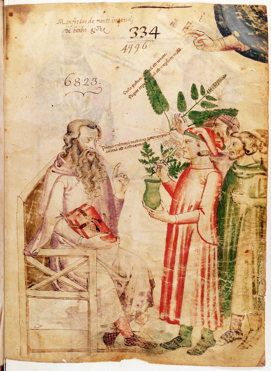MS 6823 fol.1モンテインペリアルのマンフレッドによるハーブから、未知の男性に植物を贈る女性 作： イタリア語学校