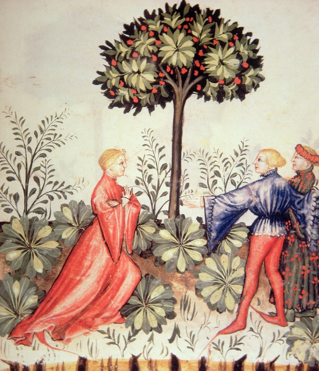 健康なTacuinumからの新しい2644 fol.24r収穫マスタード 作： イタリア語学校