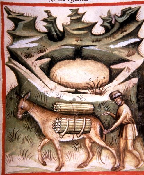 Nova 2644 fol.90r 「Tacuinum Sanitatis」より「雪と氷」（ベラム製） 作： イタリア語学校
