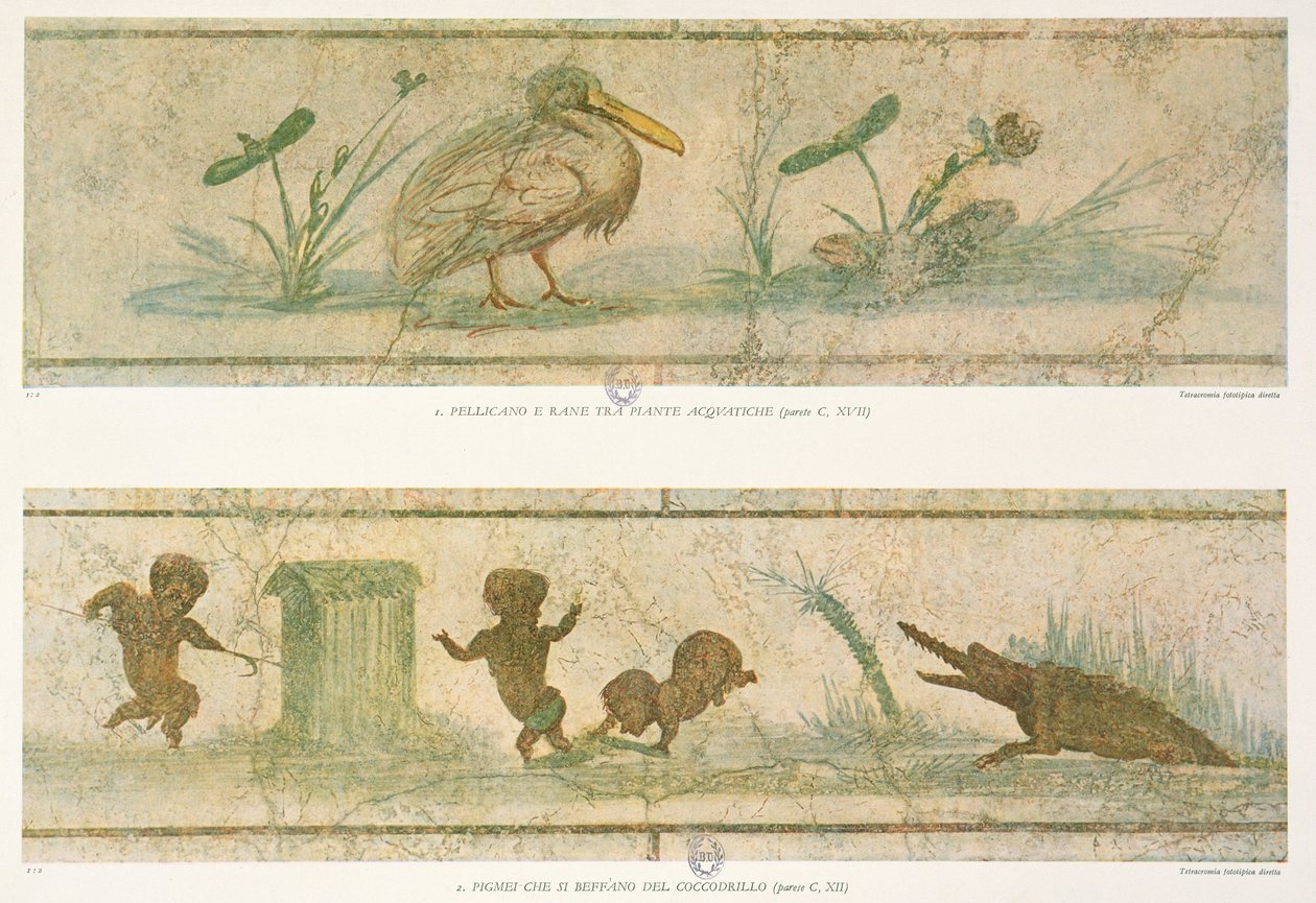 G.ベンディネッリ作のImages du Colombaire de la Villa Pamphiljによる、オリジナルのフレスコ画の後、ワニの前に逃げるペリカン、水生植物、ピグミー、1941年 作： イタリア語学校