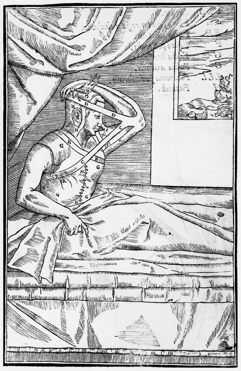 鼻の再建手術、Gaspare Tagliacozzi（1545-99）Venice、1597年発行のInsitionemによるDe curtorum chirurgiaのイラスト、1597年発行 作： イタリア語学校
