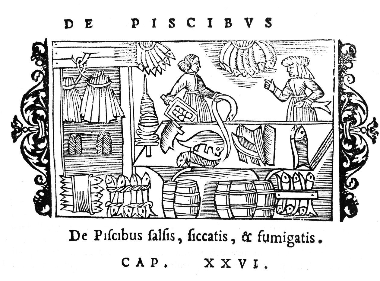 1555年にローマで出版されたOlaus Magnus（1490-1558）による北方民族の歴史からの魚の塩漬け、乾燥、喫煙 作： イタリア語学校