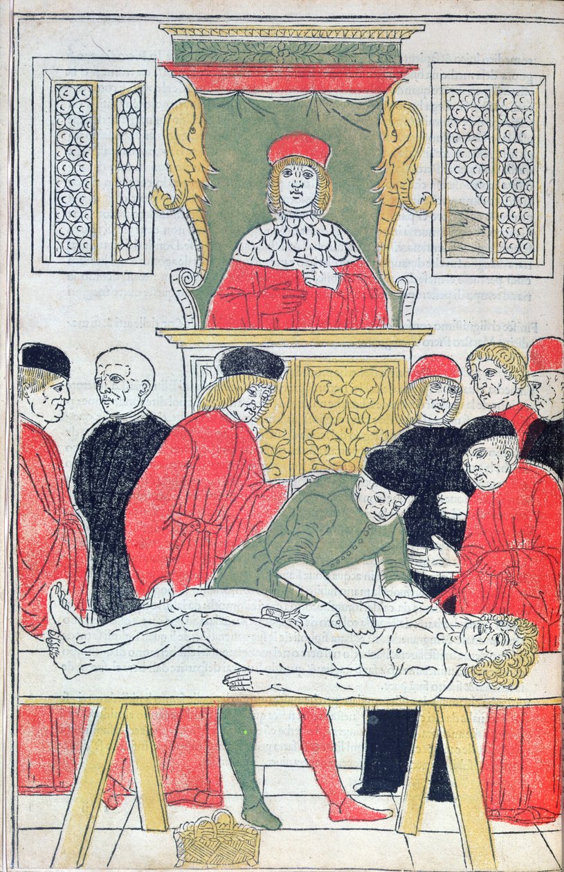 解剖、Johannes de Ketham（d.c.1490）による「Fasciculus Medicinae」のイラスト（1493年）（木版画） 作： イタリア語学校
