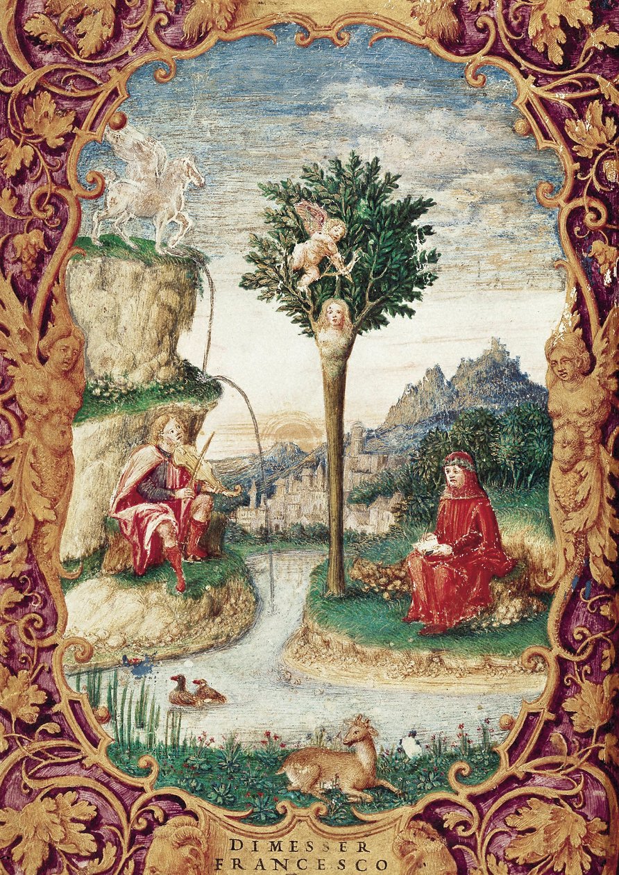 詩人、ローラ・ド・ノベス 作： イタリア語学校