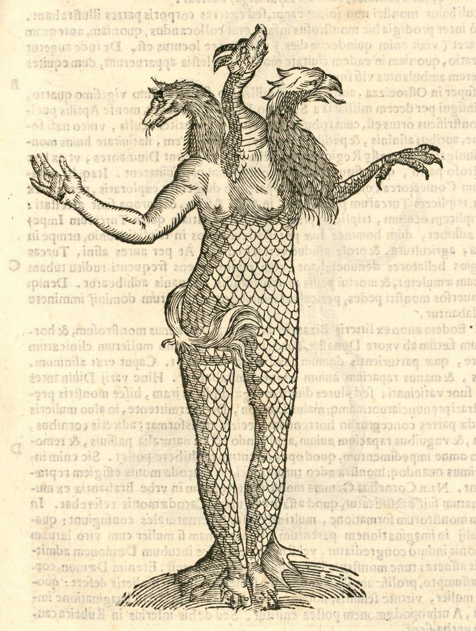モンスターの歴史、1642年からの3頭のモンスターフォックスドラゴンとアクイラのイラスト 作： イタリア語学校
