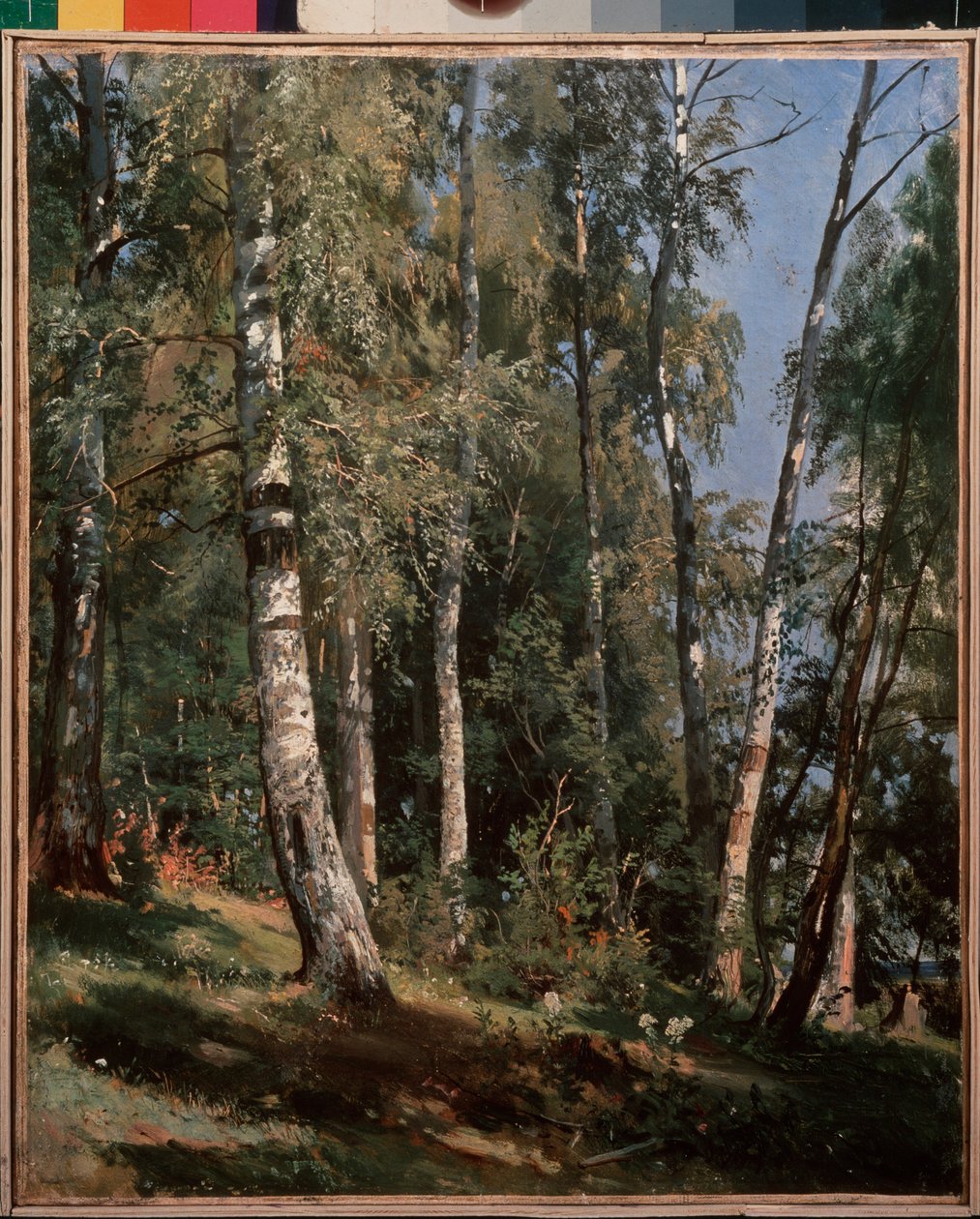 バーチ グローブ (バーチ グローブ) - Ivan Ivanovich Shishkin (Shishkin) (1832-1898) による絵画、キャンバスに油彩 作： イワン・イワノビッチ・シーシキン