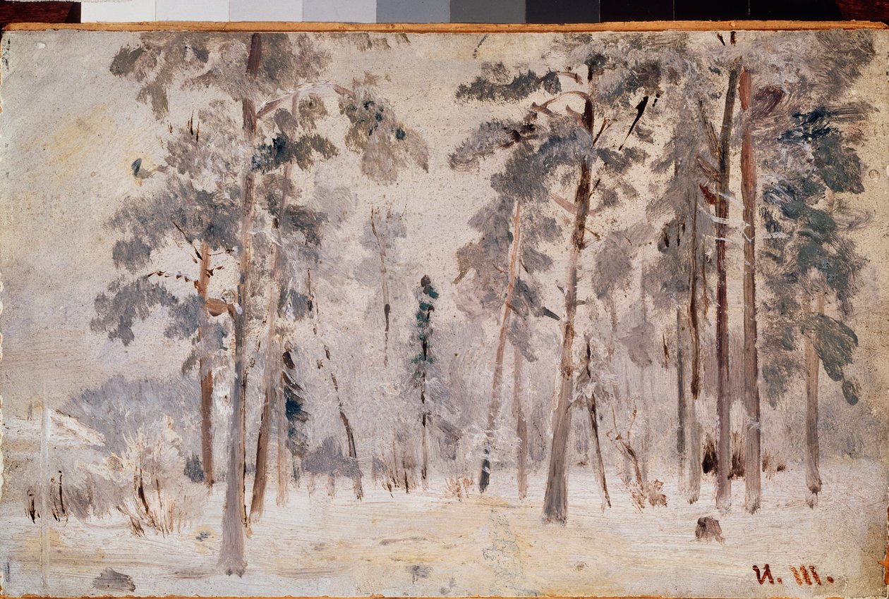 Frost (Hoarfrost) - Ivan Ivanovich Shishkin (Shishkin) (1832-1898) 作、キャンバスに油彩、1890 年頃 - ロシア美術、19 世紀の風景 - State Tretyakov Gallery、モスクワ 作： イワン・イワノビッチ・シーシキン