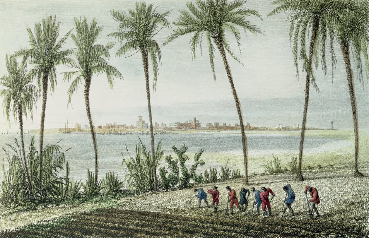 ジョン・パイ（1782-1874）によって彫刻されたカディスの概観 作： J.テイラー