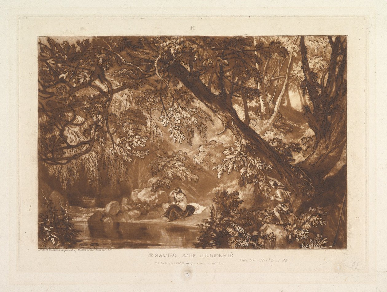 Aesacus and Hesperie, Vide Ovid Metamorphosis, Book XI Liber Studiorum, part X..., 1819年1月1日。 作： ジョセフ・マロード・ウィリアム・ターナー