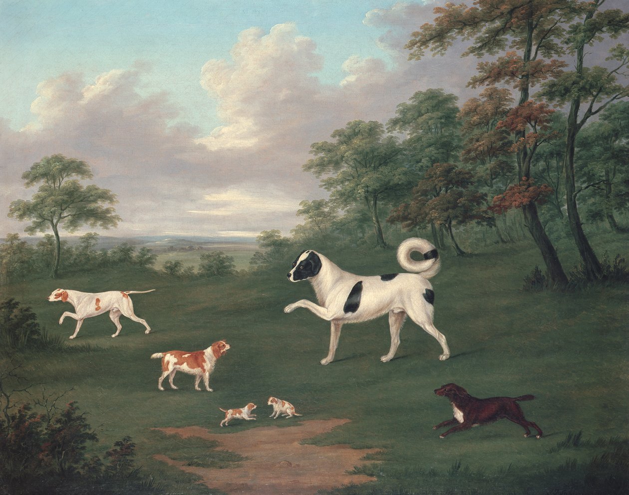 風景の中のスポーツ犬 作： J・フランシス・ザルトリウス