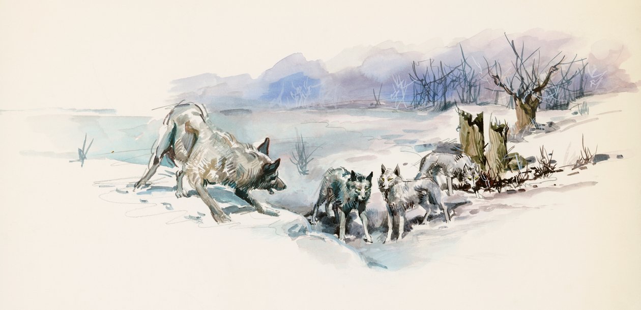 オオカミの群れ、ジャック・ロンドン (1876-1916) の冒険小説、Call of Wild の絵 作： ジャック・ロンドン