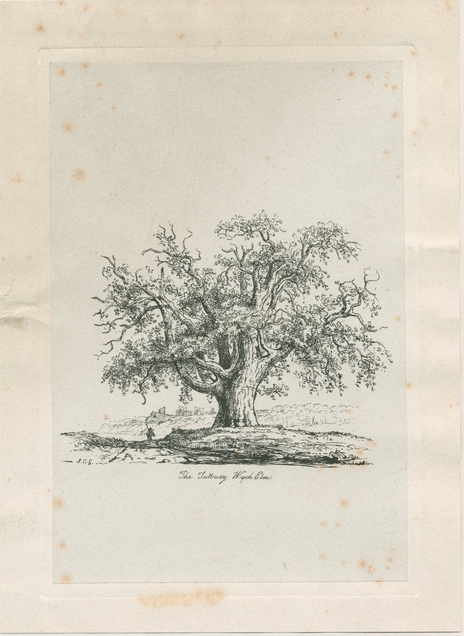 タットベリー-「ウィッチエルム」：彫刻、nd [c 1820] 作： ジェイコブ・ジョージ・ストラット