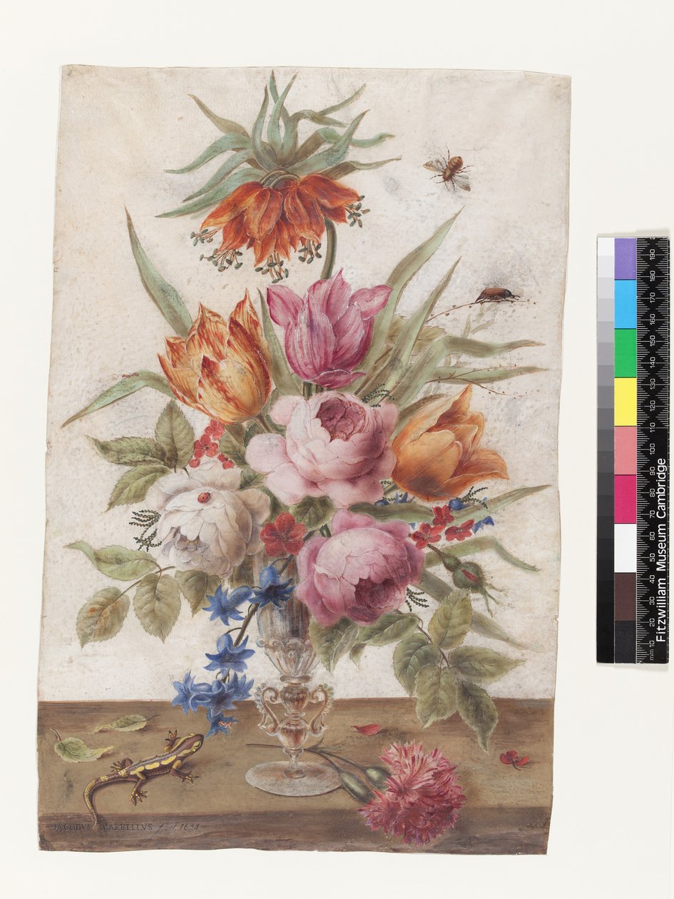 トカゲと昆虫のいる花が入ったベネチアンガラスの杯、1634年（ベラムのガッシュ） 作： ジェイコブ・マレル