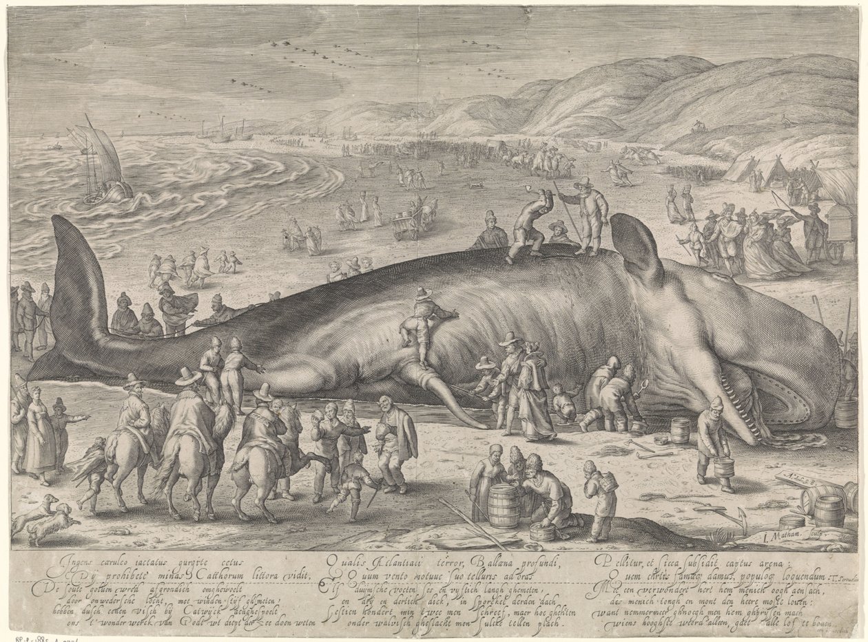 1598 年にバークヘイで座礁したクジラ 作： ジェイコブ・マサム