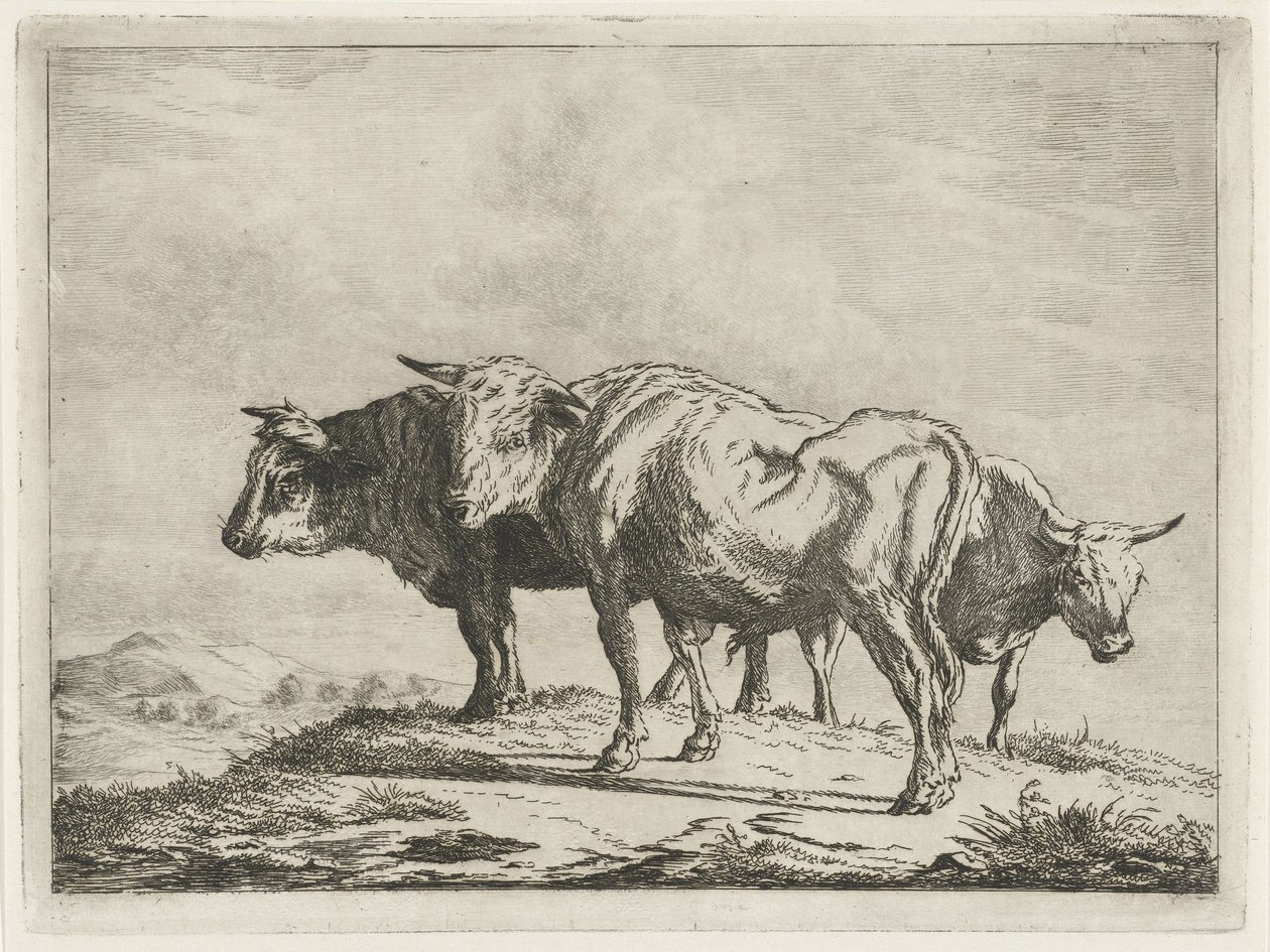 三頭の牛 作： Jacobus Cornelis Gaal