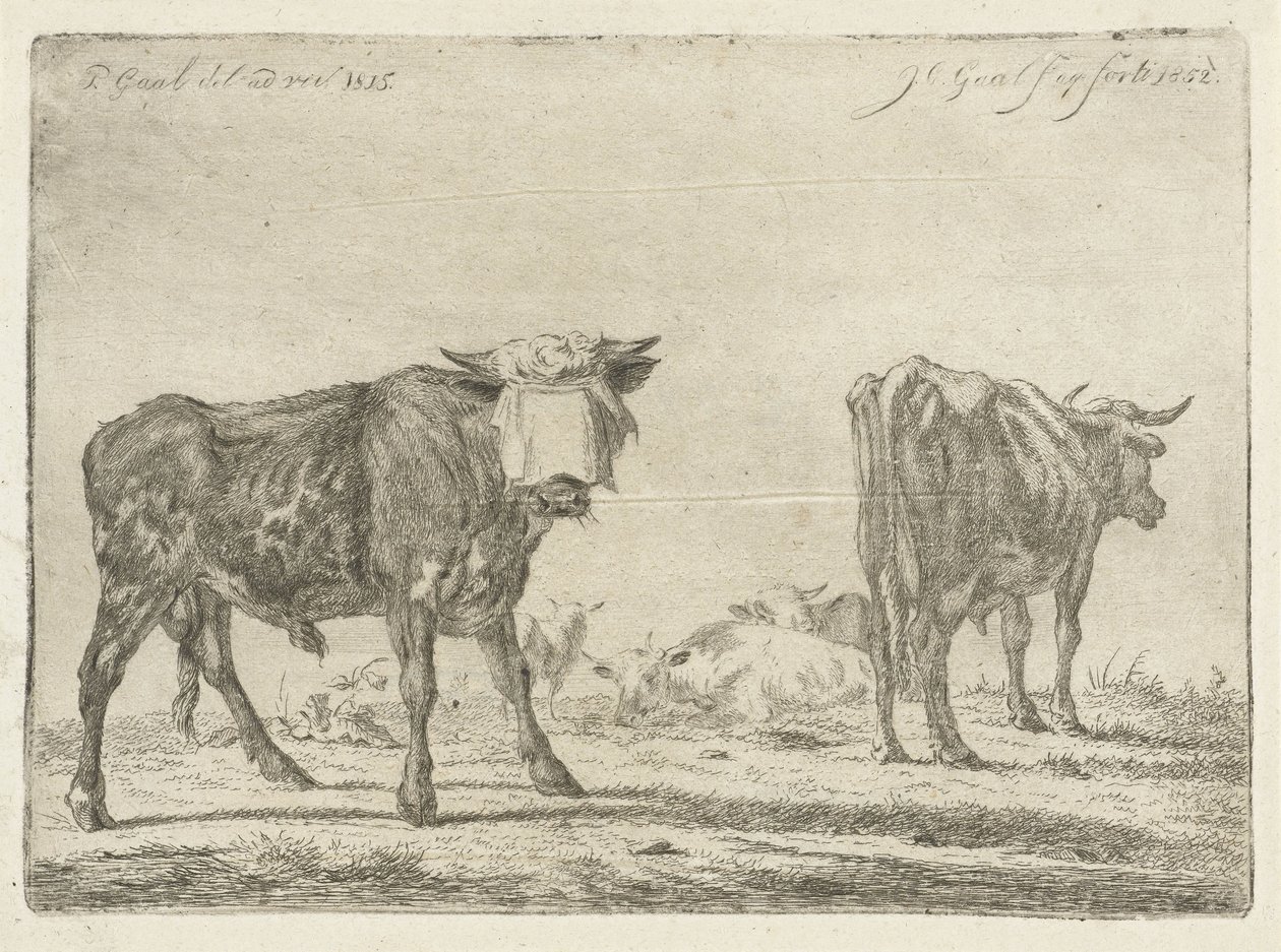 牛の群れと目隠しされた雄牛 作： Jacobus Cornelis Gaal