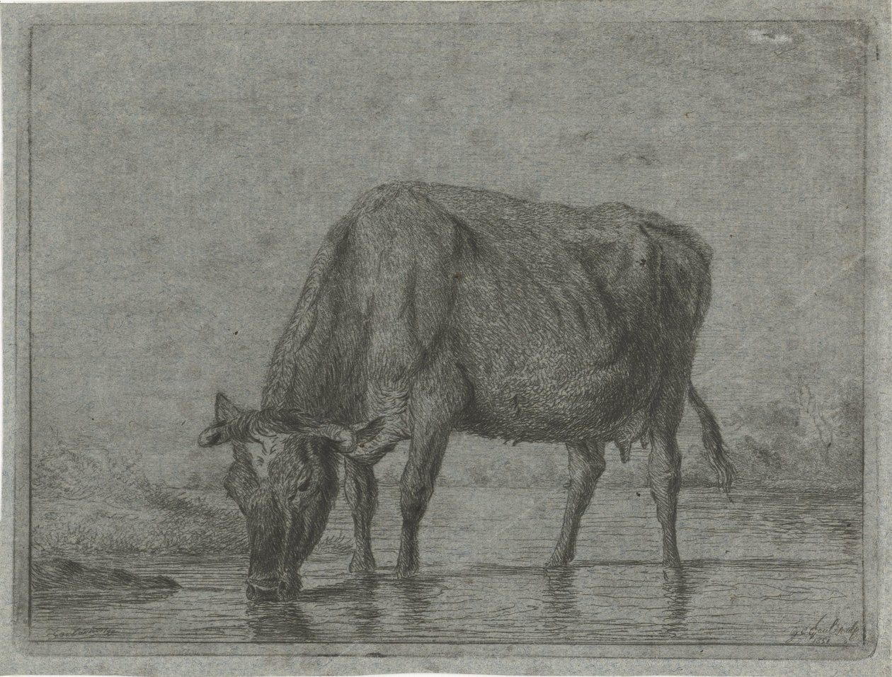 水たまりから水を飲む牛 作： Jacobus Cornelis Gaal