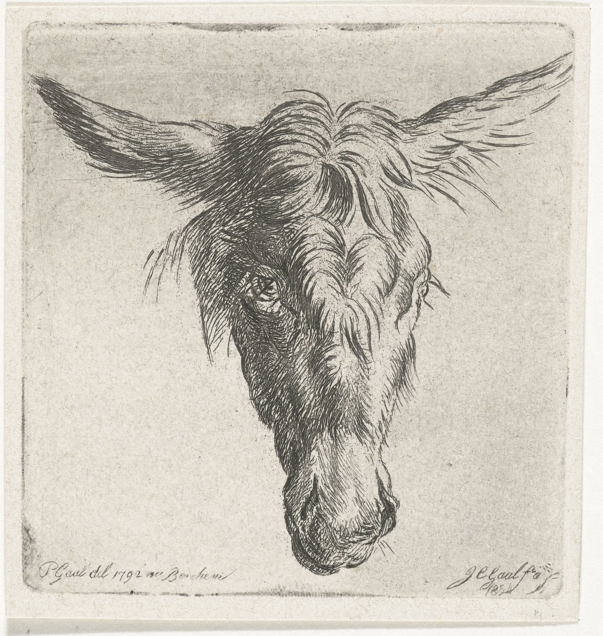 ロバの頭 作： Jacobus Cornelis Gaal