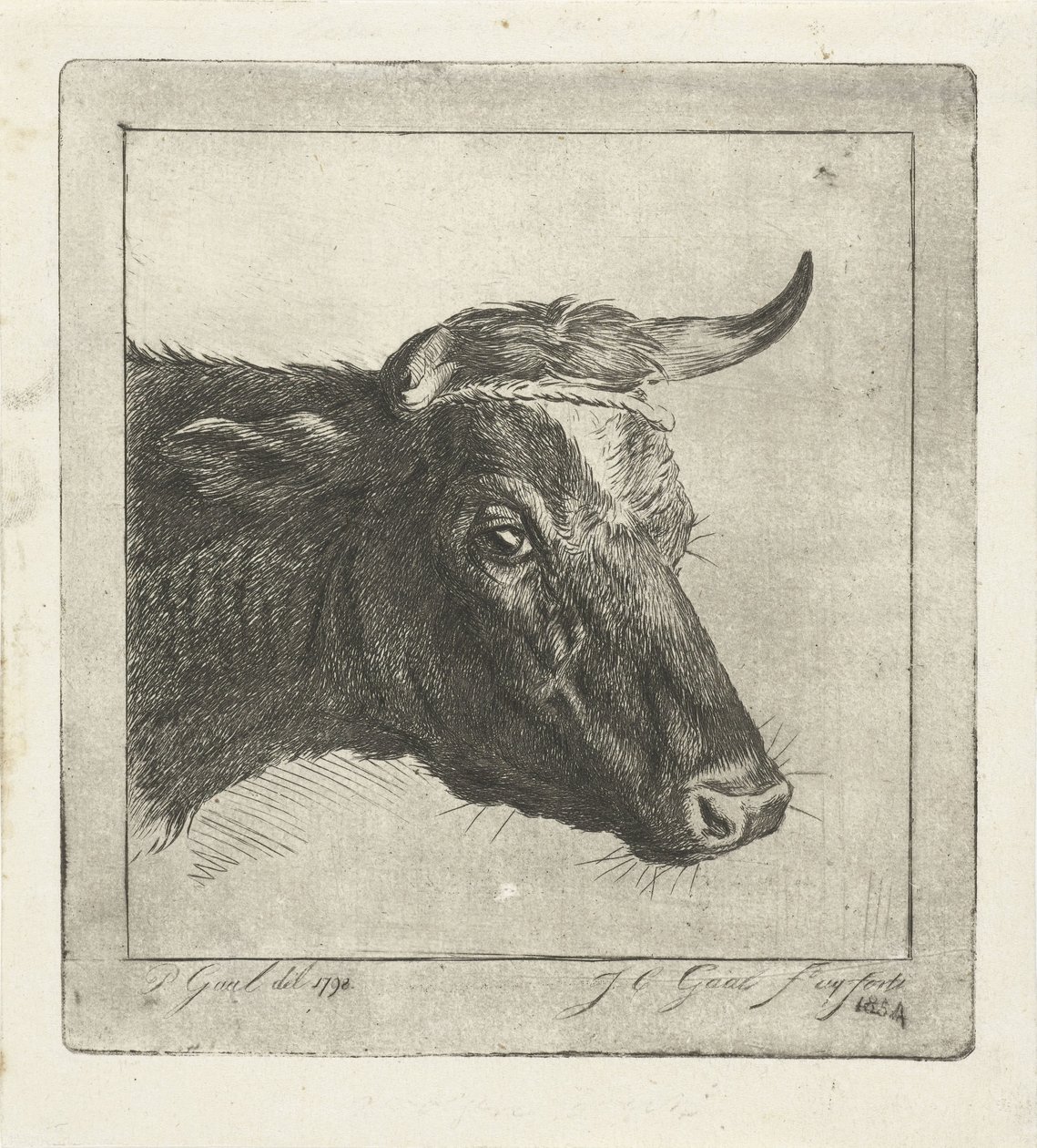 角にロープを巻いた牛の頭 作： Jacobus Cornelis Gaal