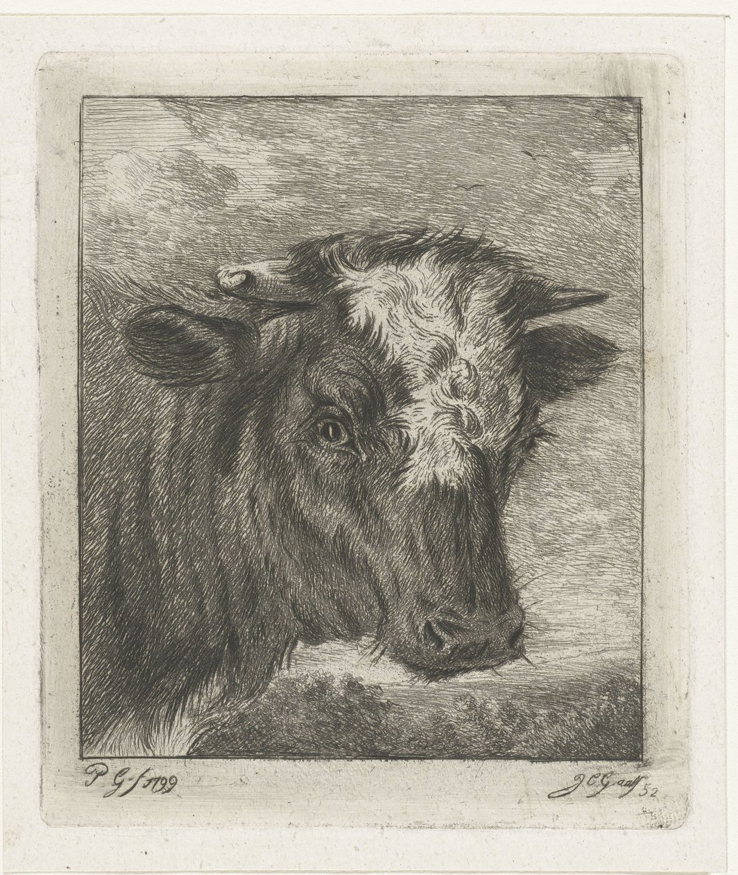白いコルと牛の頭 作： Jacobus Cornelis Gaal