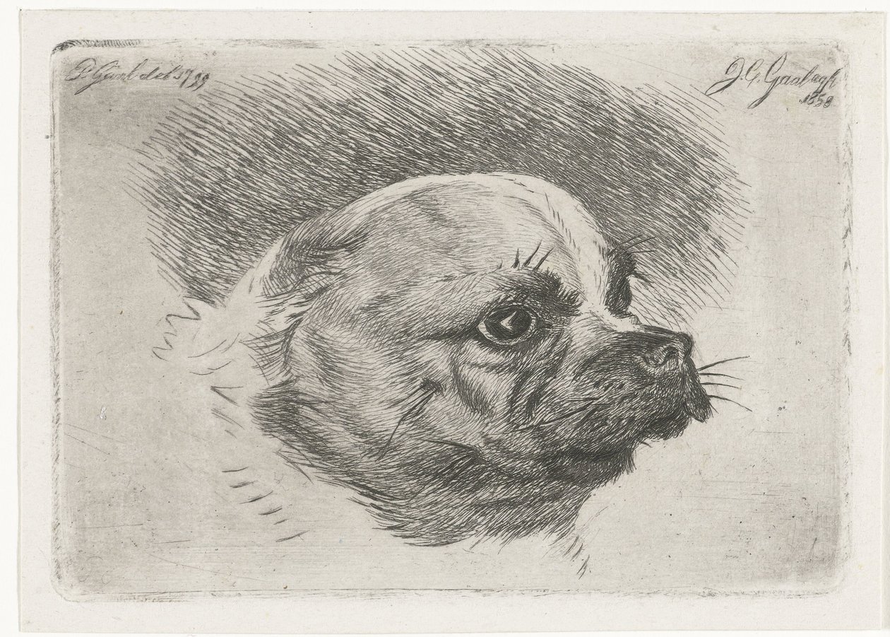 パグヘッド 作： Jacobus Cornelis Gaal