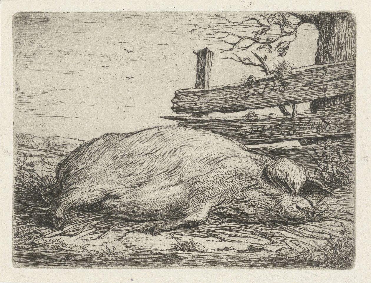 横たわるイノシシ 作： Jacobus Cornelis Gaal