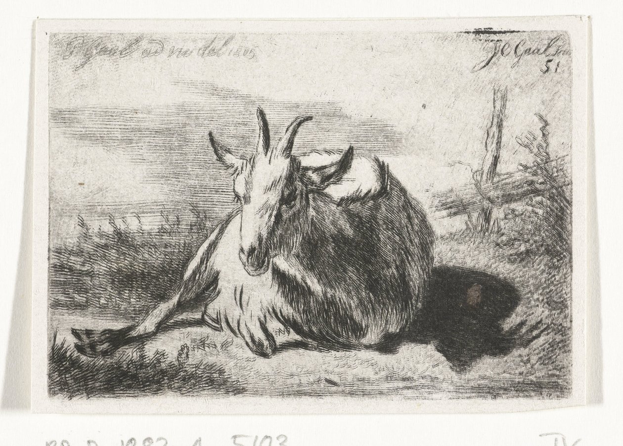 左に横たわるヤギ 作： Jacobus Cornelis Gaal