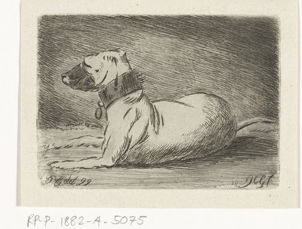 首輪をつけて横たわる犬 作： Jacobus Cornelis Gaal
