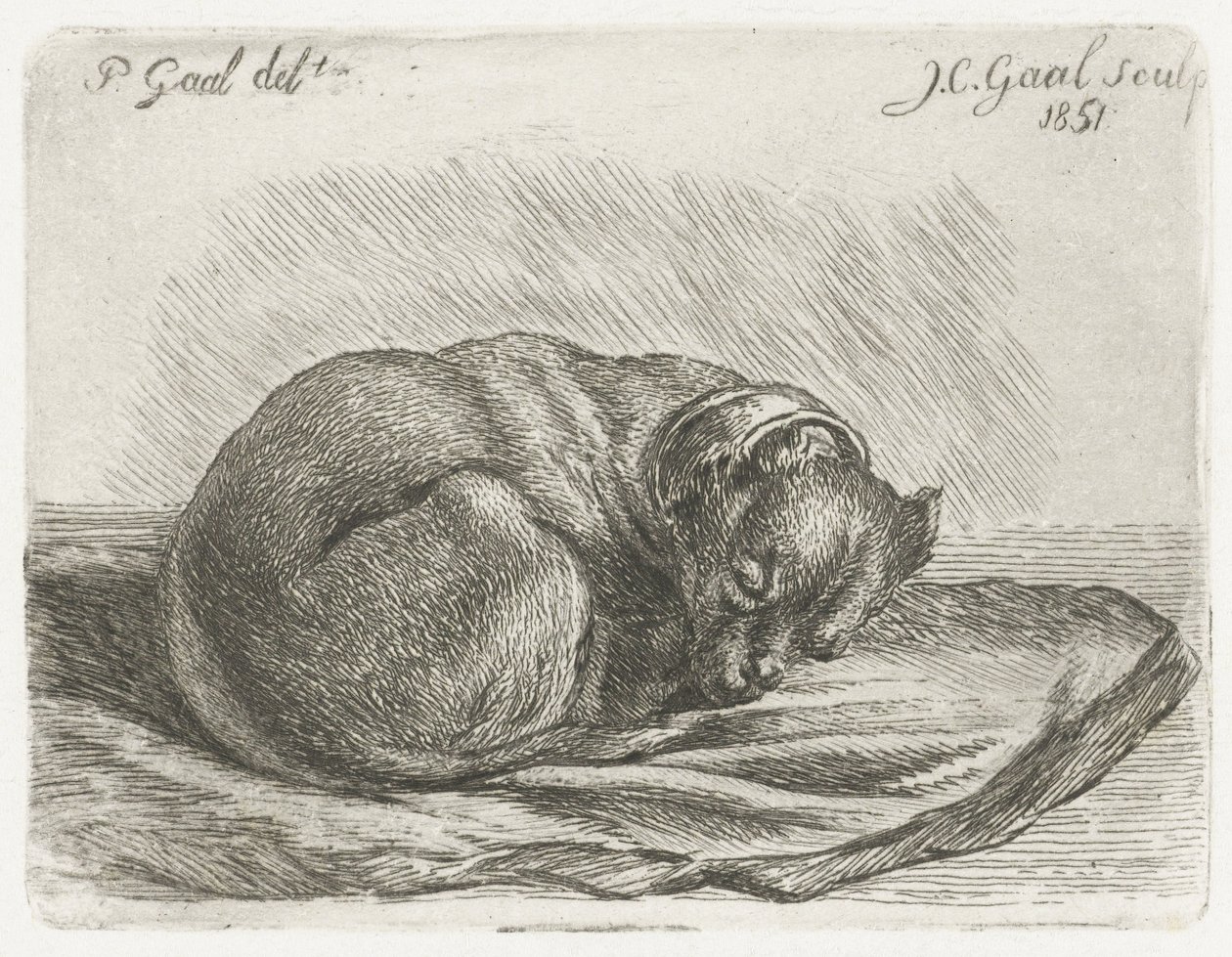 毛布の上に横たわって眠っている犬 作： Jacobus Cornelis Gaal