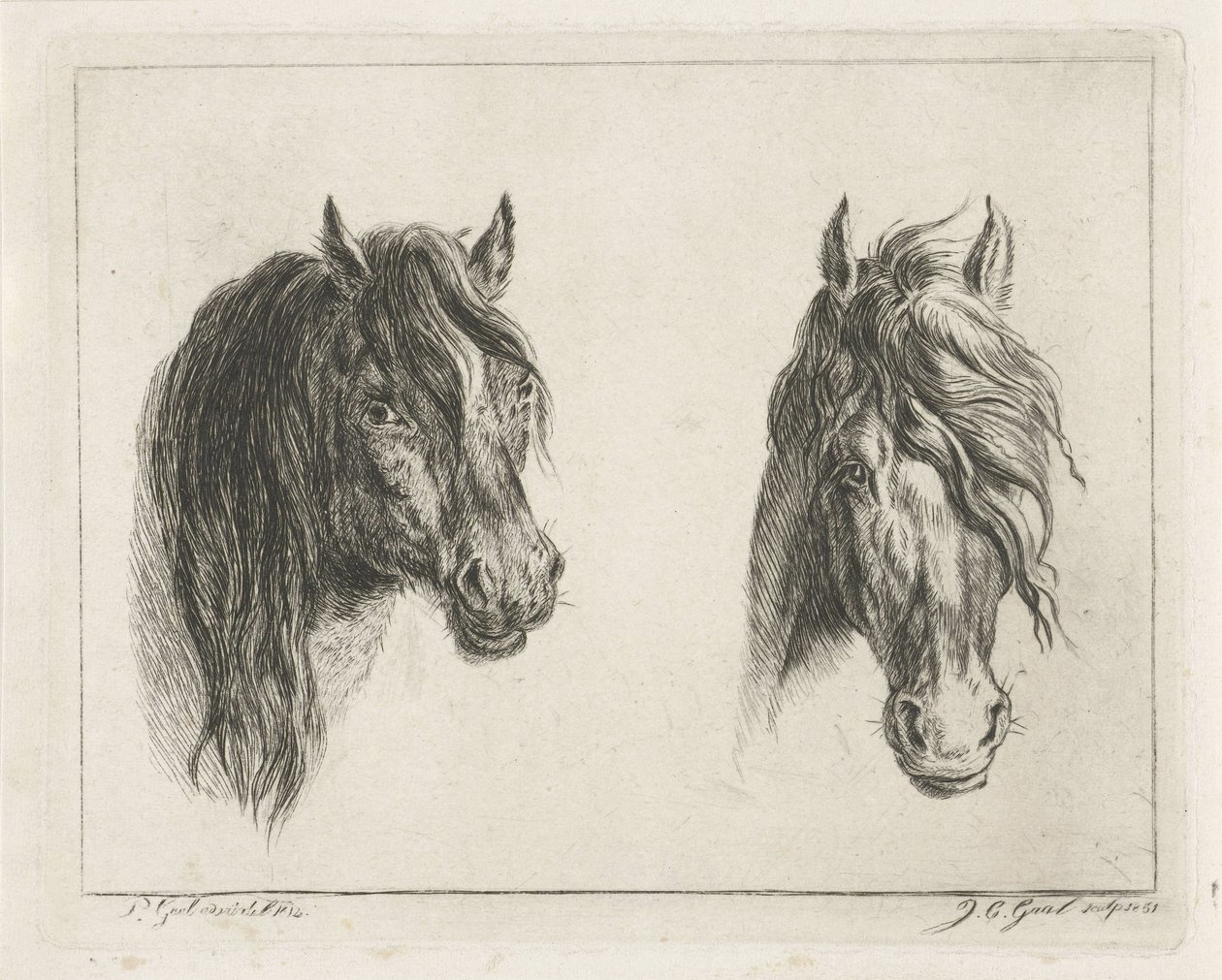 2 つの馬の頭 作： Jacobus Cornelis Gaal