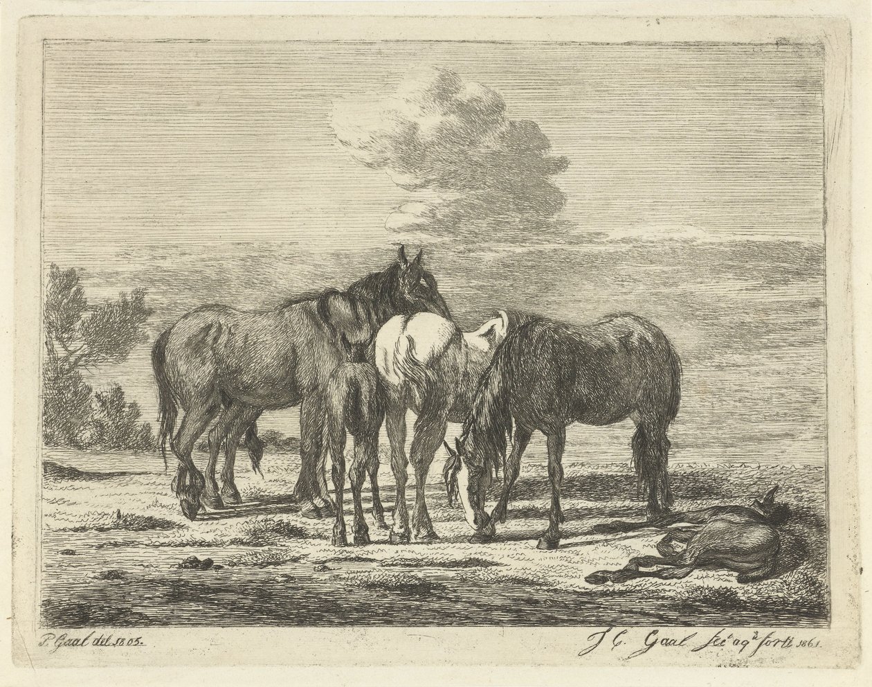 4頭の馬と2頭の子馬 作： Jacobus Cornelis Gaal