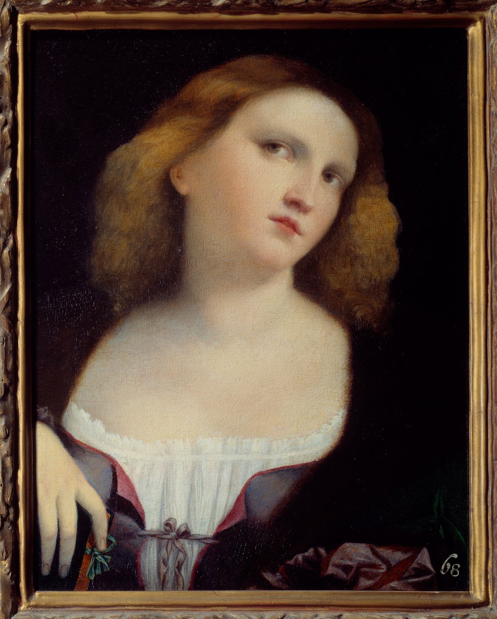 女性の肖像 木の上に描かれた絵をキャンバスに移し替えたもの ヤコポ・パルマ・イル・ヴェッキオ（1480-1528） 1513年 薄さ。0.48 x 0.38 m リヨン、ボザール美術館（Musee des Beaux Arts 作： ジャコポ（c.1480-1528）パルマ