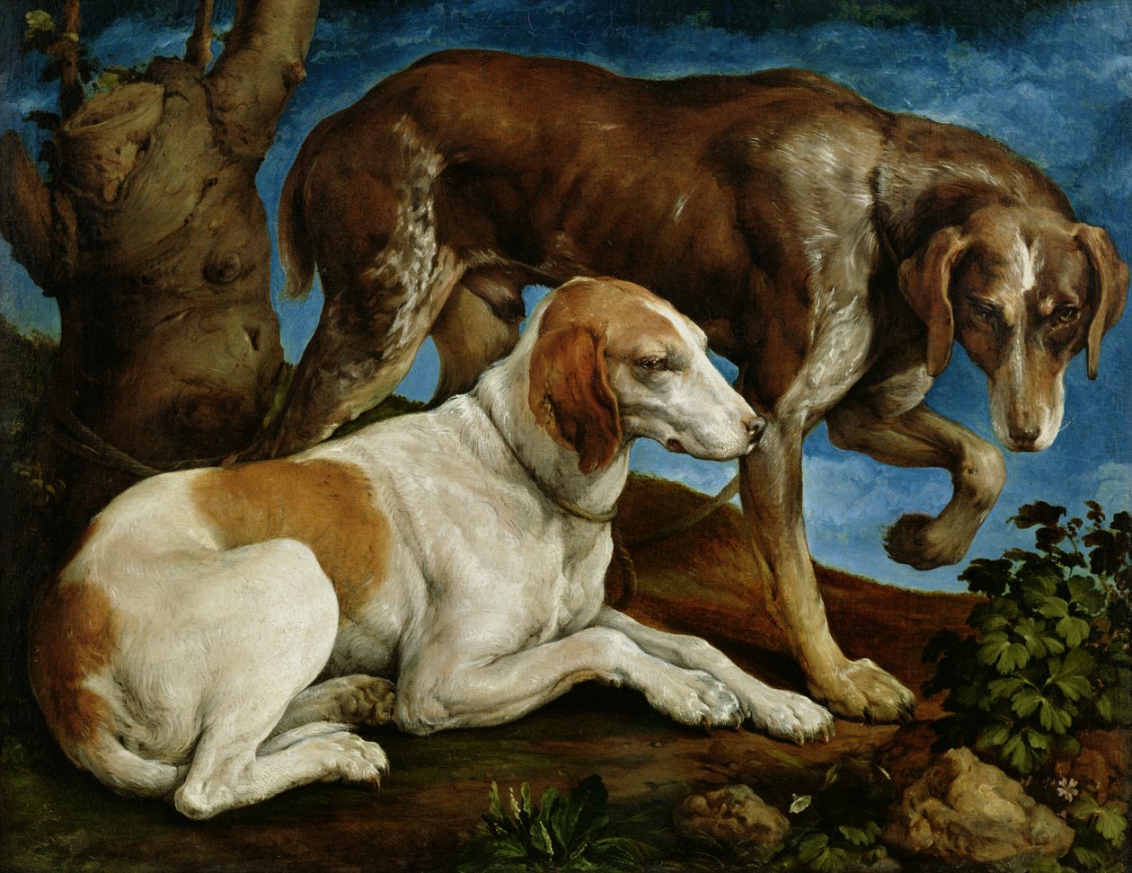 木の切り株に結ばれた2匹の狩猟犬、c.1548-50 作： ジャコポ・バッサーノ