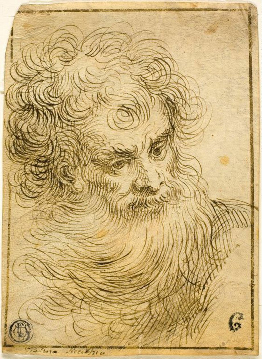あごひげを生やした老人の頭（直腸）。 花と葉の装飾的なスケッチ (裏面) 作： Jacopo Palma il Giovane