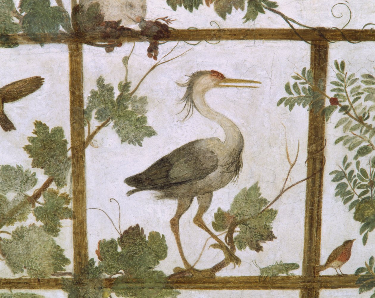 アイビス、メディチ家の鳥小屋のフレスコ画、1576-77年頃 作： ジャコポ・ズッキ