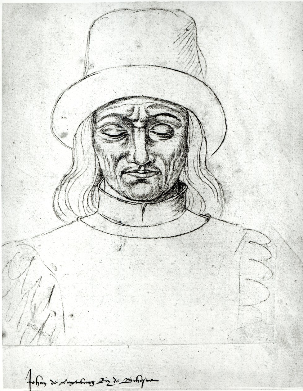 Ms.266 fol.171 &39;Recueil d&39;Arras&39;からのボヘミア王ルクセンブルグのジョン（1296-1346） 作： ジャック・ル・ブック