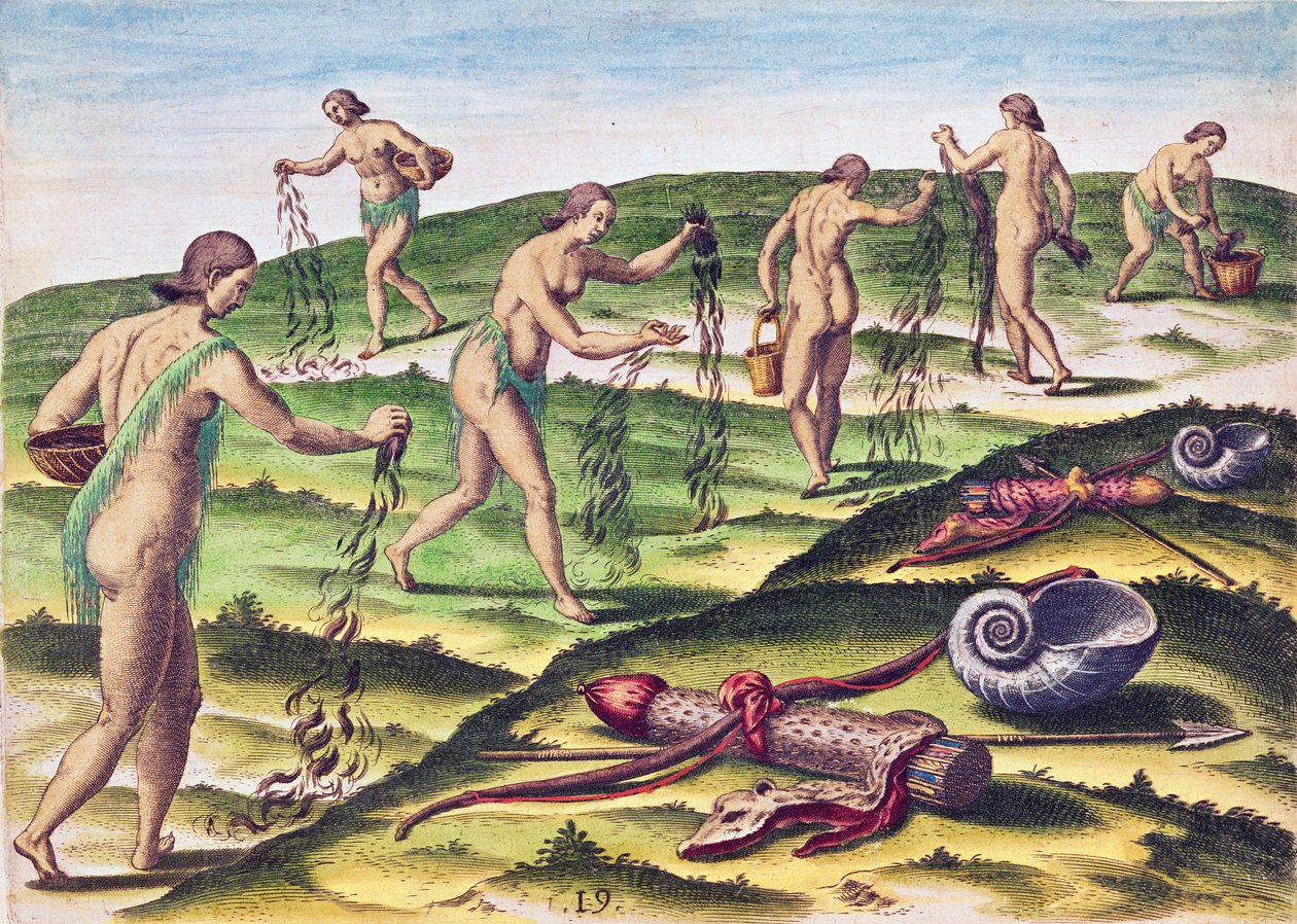1591年フランクフルトで出版されたセオドア・ド・ブライ（1528-98）によって刻まれた、「ブレビス・ナラティオ..」の墓地で女性たちが嘆く方法 作： ジャック・ル・モイン