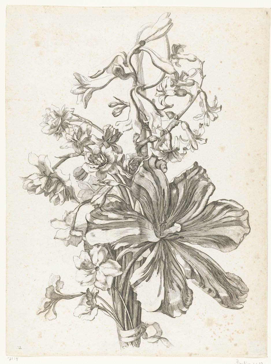 チューリップ、ヒヤシンス、ブロディアエア、水仙のブーケ Diverses Fleurs mises en Boucquets (連載タイトル) 作： ジャック・バイリー（I）
