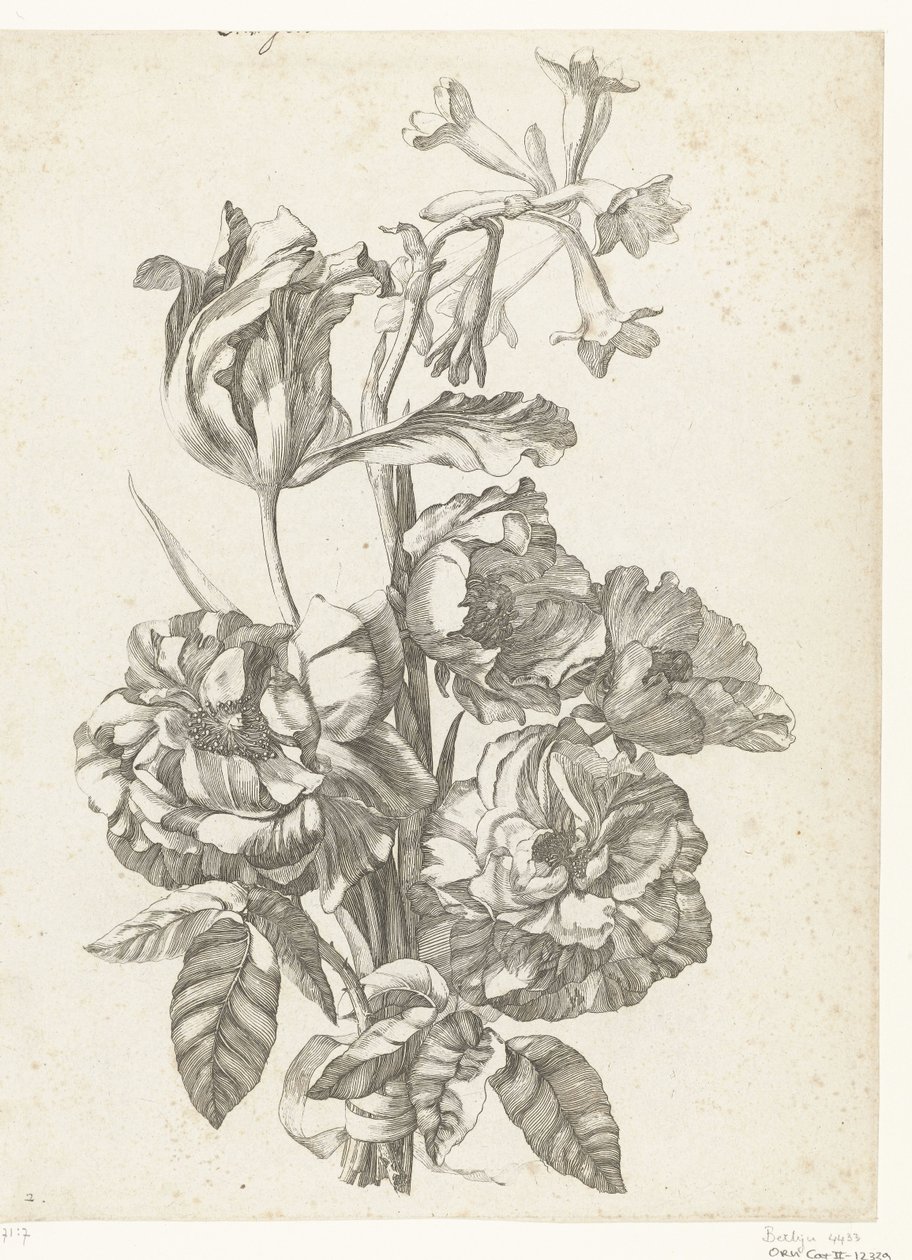 牡丹、チューリップ、ブローディアのブーケ Diverses Fleurs mises en Boucquets (連載タイトル) 作： ジャック・バイリー（I）