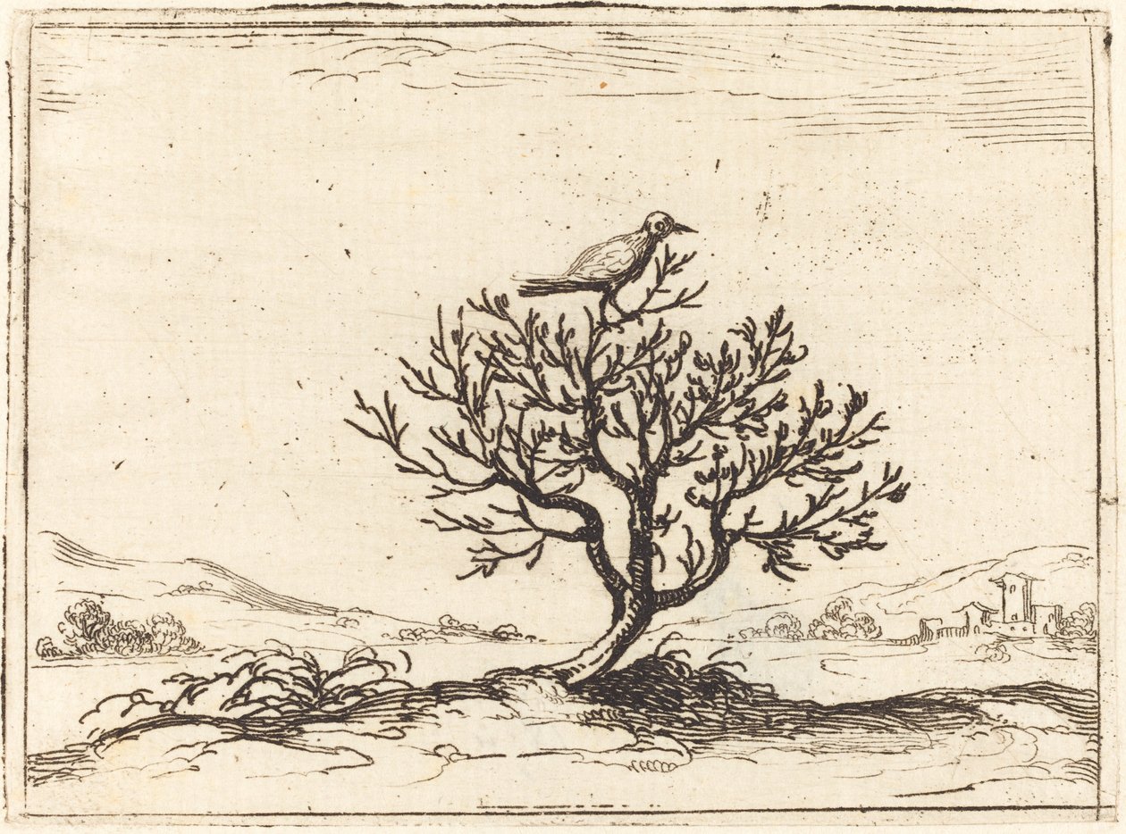 茂みの中のナイチンゲール、1628年。 作： ジャック・カロ
