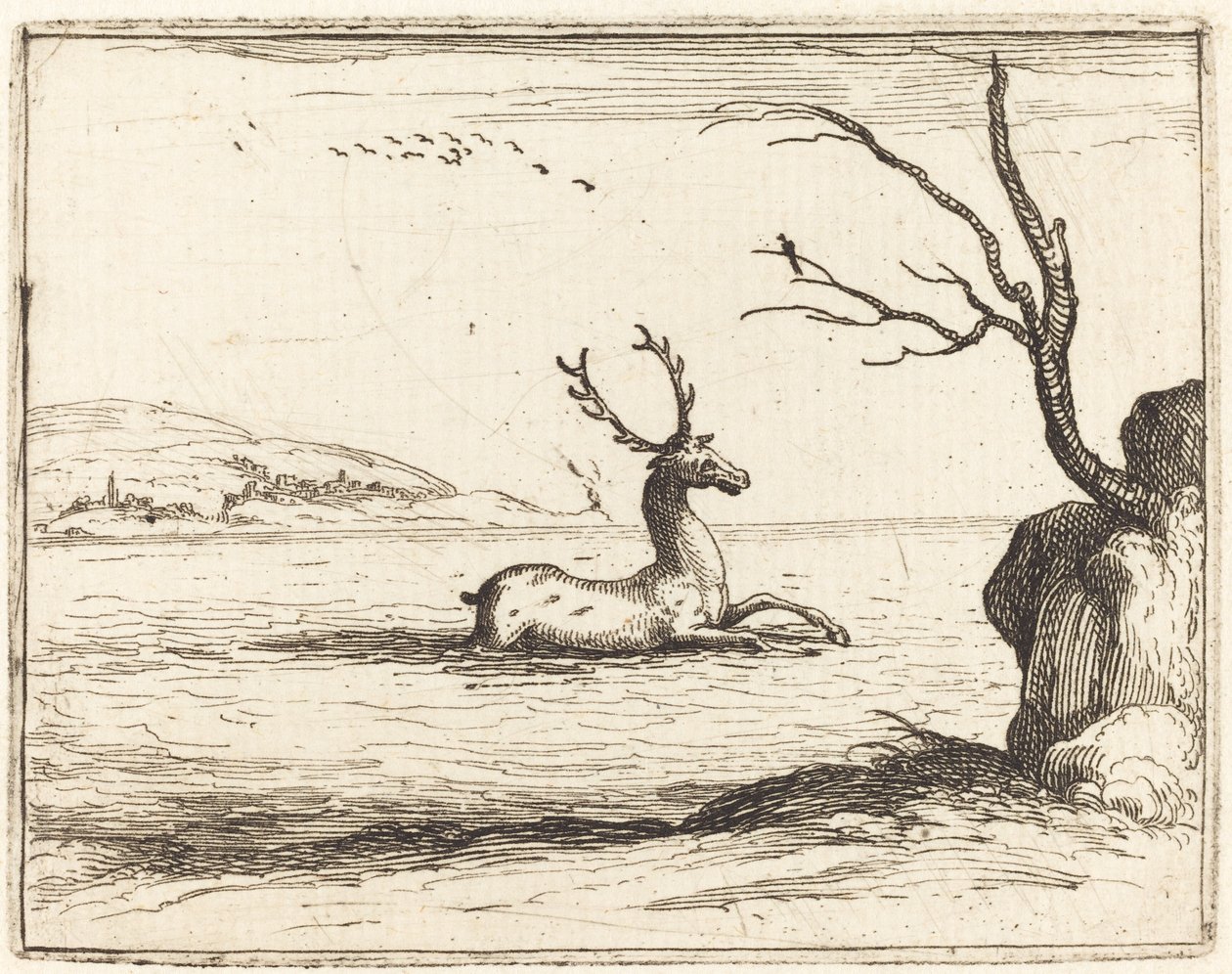 水の中の雄鹿、1628年。 作： ジャック・カロ
