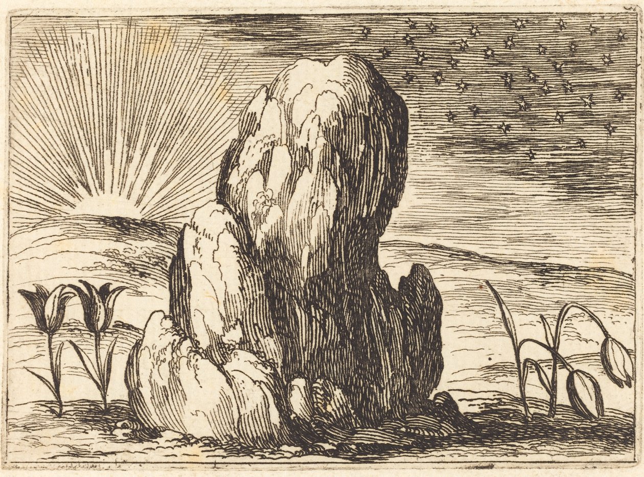 チューリップと太陽、1628年。 作： ジャック・カロ