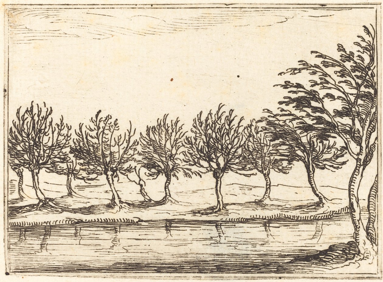 水辺の柳、1628年。 作： ジャック・カロ