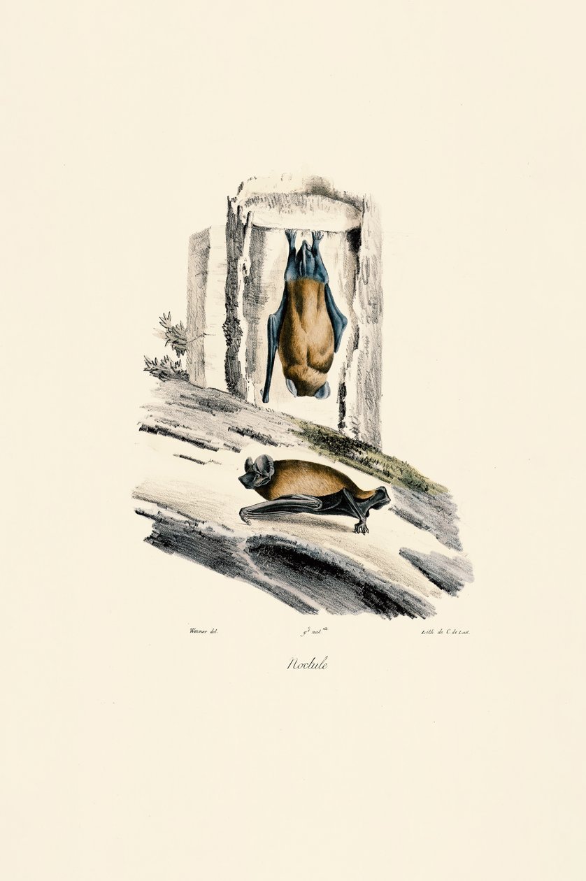  作： 