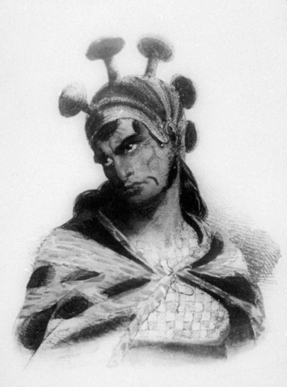キノコで装飾された紋章付きヘルメットを着用したハワイアンウォリアー、1819年 作： ジャック・エティエンヌ・ビクター・アラゴ